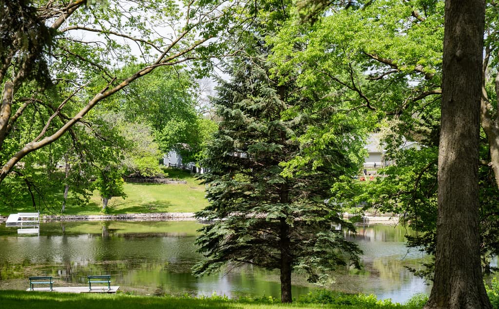 Lakeside environmental maintenance